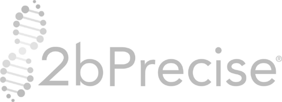 2bPrecise logo